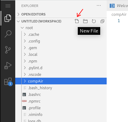 codeServerFile